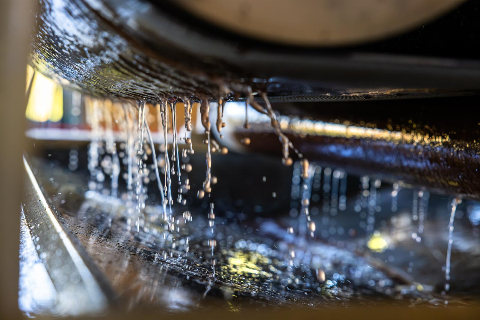 Il mosto bianco che scende dalla pressa